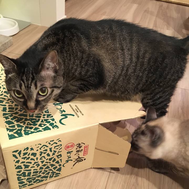 Ebb29d32 34f8 4ef6 8b53 d82987c96eec 1561607214747