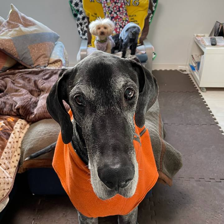 Ebb2a579 9af8 4236 bd99 3575d9a4cd41 1612910144622