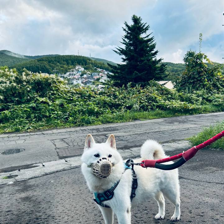 Ebb2d364 484b 4e26 b587 5ed2845d198b 1756846908814