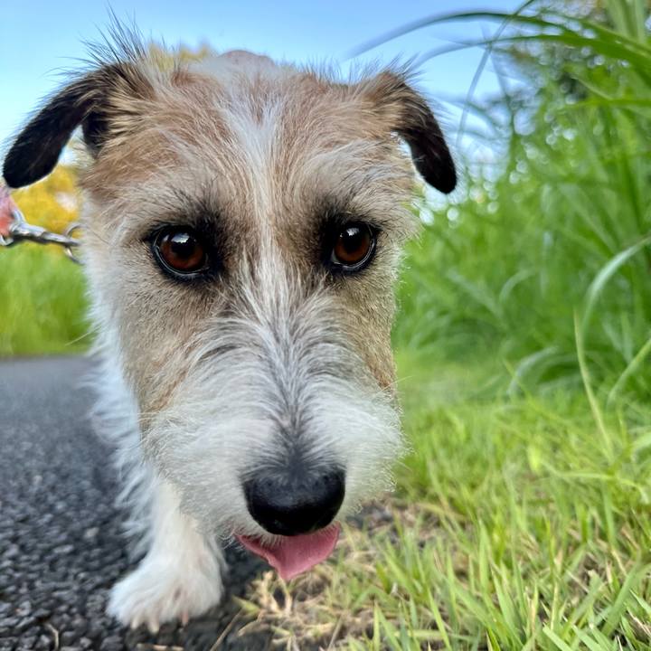 Ebb31a9f ed52 4d22 a709 3d4205ee1119 1690153699775