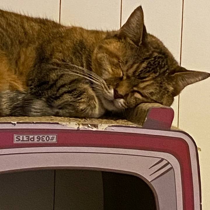 Ebb3208b 58a7 497c 8899 70159b22ed6e 1667595580020