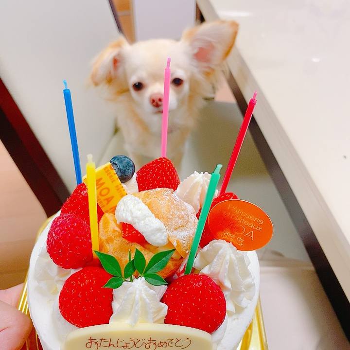 Ebb32228 dfdb 4db1 a4ad 44a9d757fb09 1623666179335