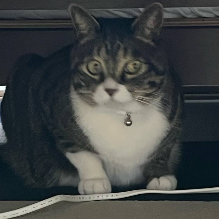 Ebb32b6b 89be 47f1 8db6 9fb0e33dacfb 1770943319327