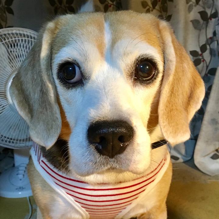 Ebb3730c cde3 491b 833d 2fafb13898fc 1537453481098