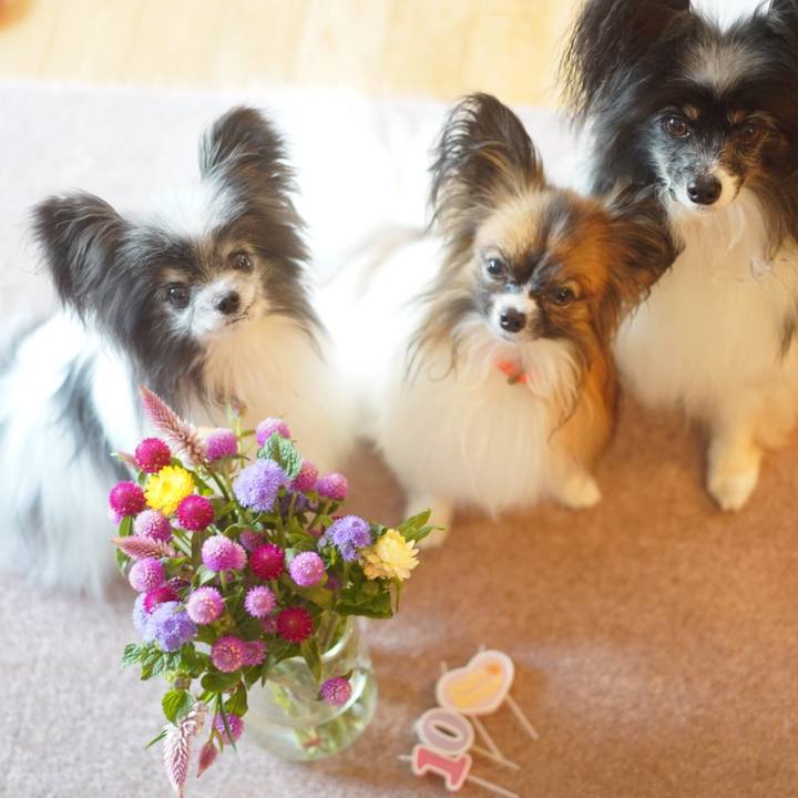 Ebb39263 e6bf 4b0b a5f8 b9489b27d268 1759359344538