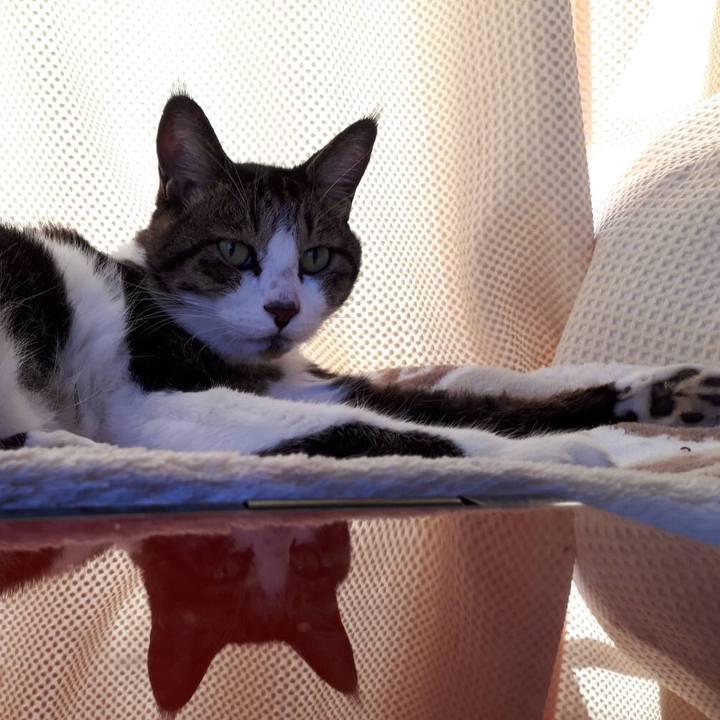 Ebb3dd7b d86a 4589 b2aa e69f1c00dc13 1538251346228