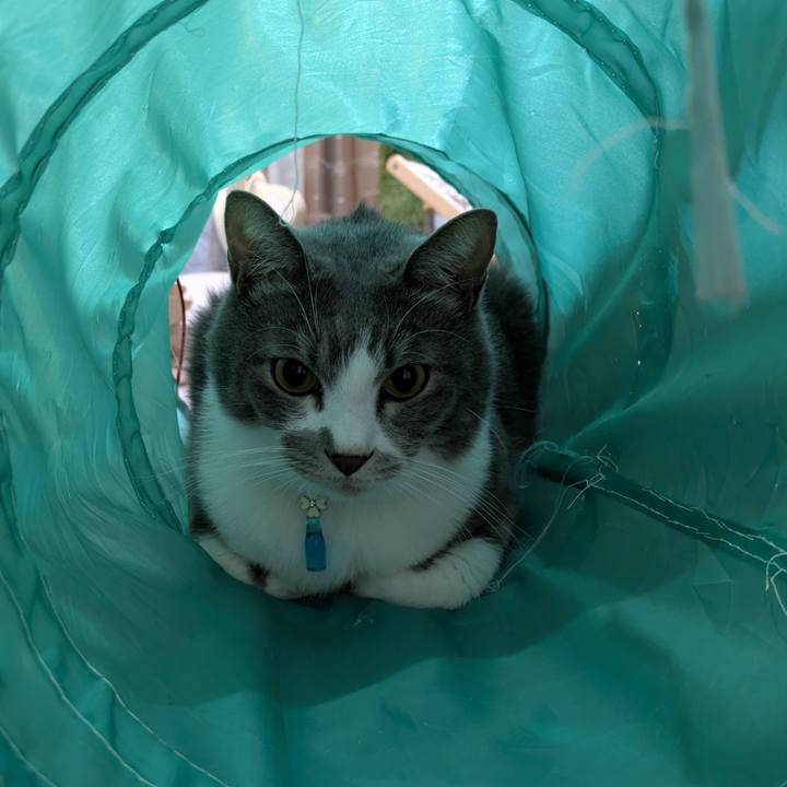 Ebb3eaf2 d281 49f1 9b17 10f0b7b8e8f6 1731504177410