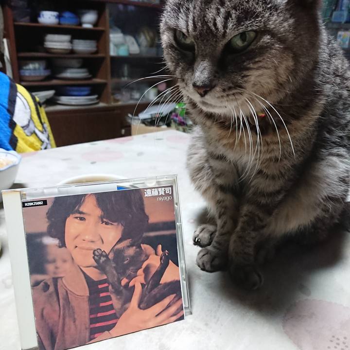 Ebb40b44 80be 4335 b6d7 ff1cc04ae8e4 1582358702336