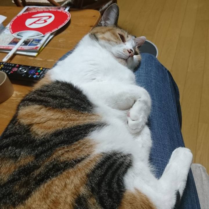 Ebb40dae 68ff 43d8 97eb ca566c7aade4 1535545476676