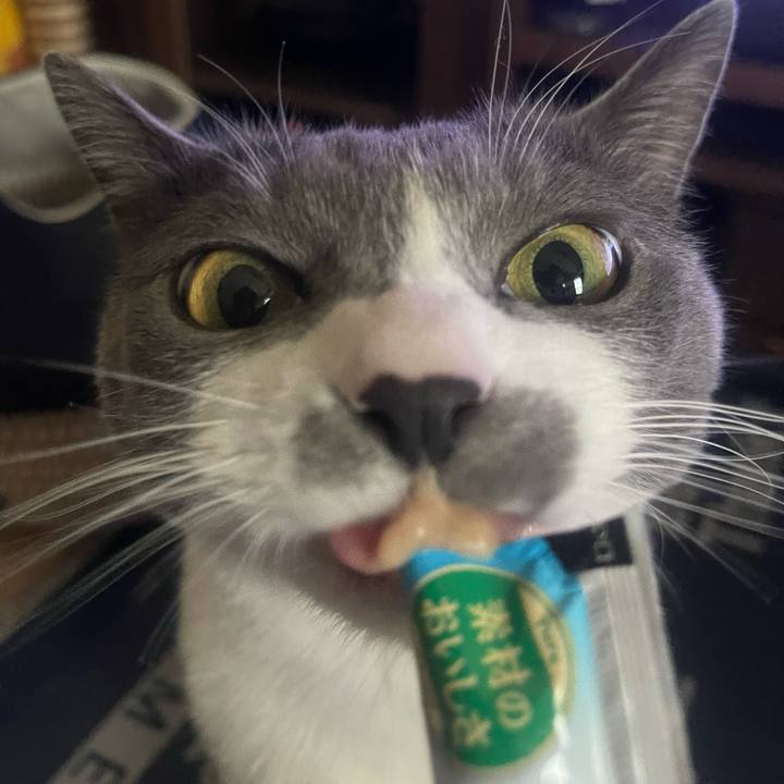 Ebb42529 f454 485c 9563 3cf6ec5036e9 1708153361189