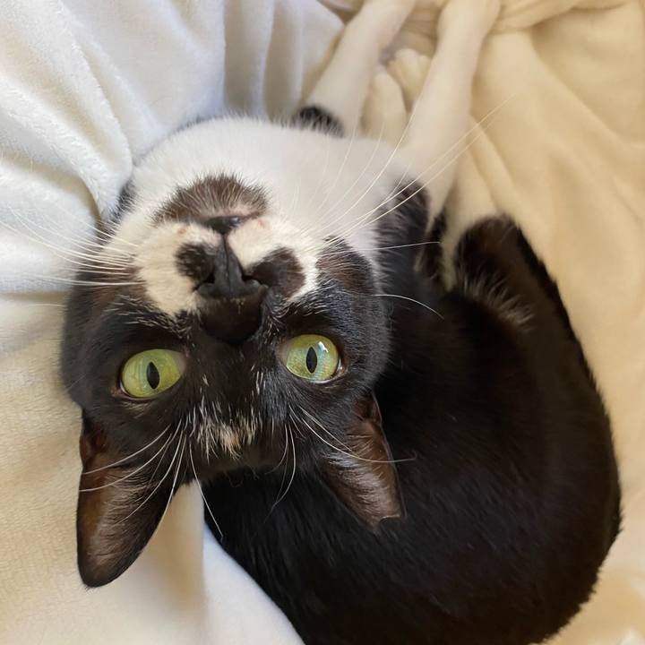 Ebb425ee e2cf 45d8 97d1 c1e85e5a10af 1675657684845