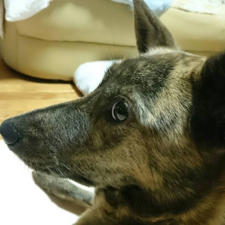 Ebb42c4e cb00 49af 8d51 d7c82035b69f 1516708290198