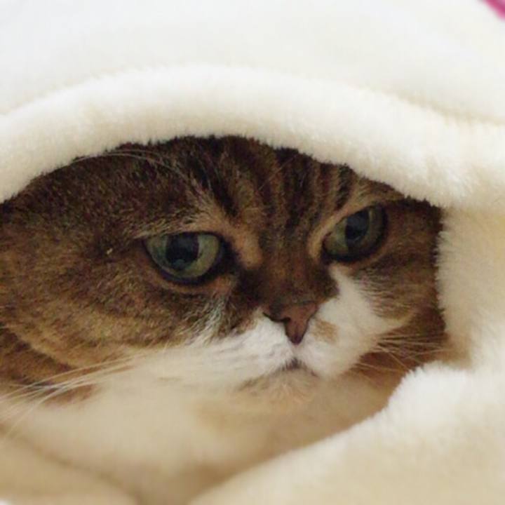 Ebb435d0 d983 4834 90cd 25c0e87bd807 1514967632047