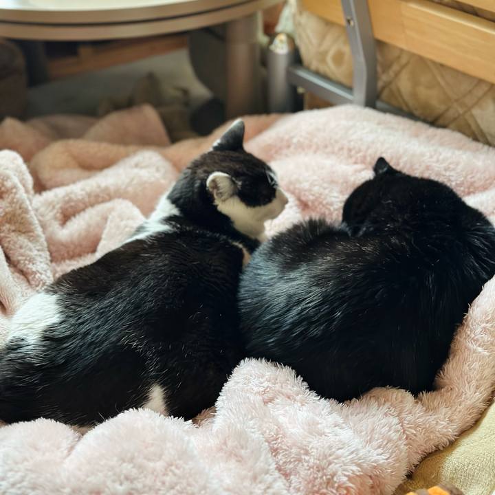 Ebb43f3d 0f6a 41ae 80d8 d68f75c912a5 1682472991501