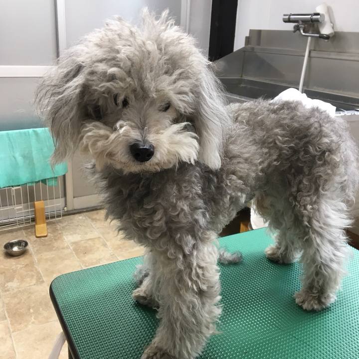 Ebb441fc b290 419d 9e55 731c7933595e 1523680797473