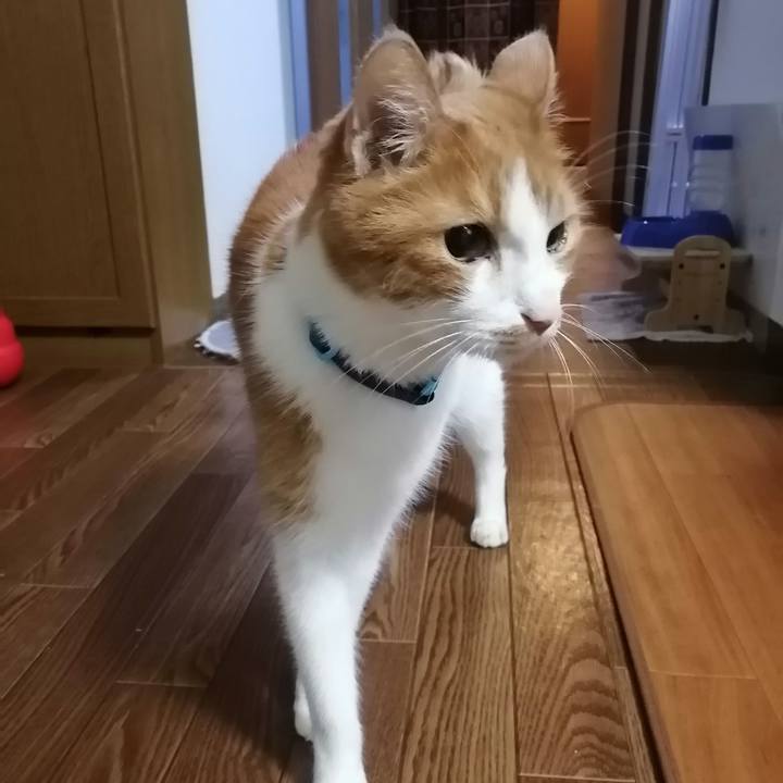 Ebb4427e a56e 479c 9ace a1fcbb0c51b1 1661863820878