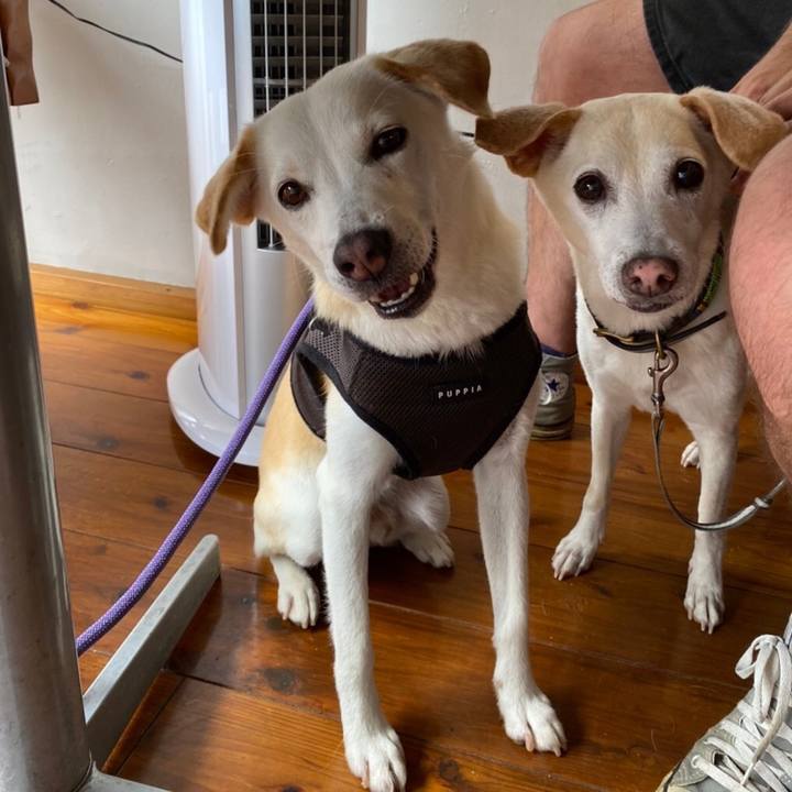 Ebb4597f 79e2 403d b29e ecfa851d8eba 1631104146578