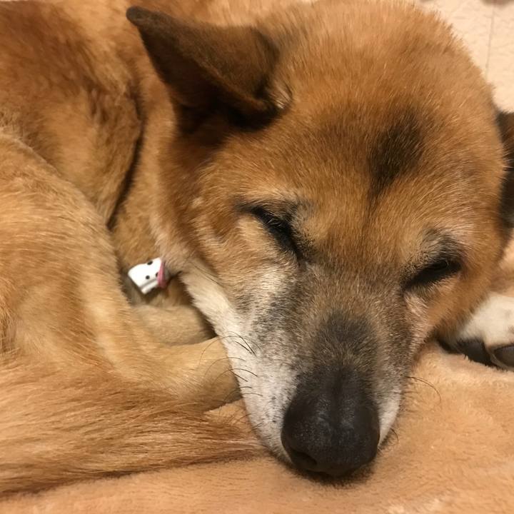 Ebb463b0 2b81 479f 803d a5b1c09e32d4 1521117216563