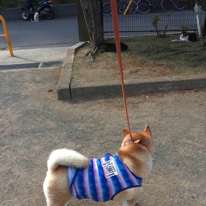 Ebb4726a 5149 46ef 8db7 2dc52af62b50 1613300140185