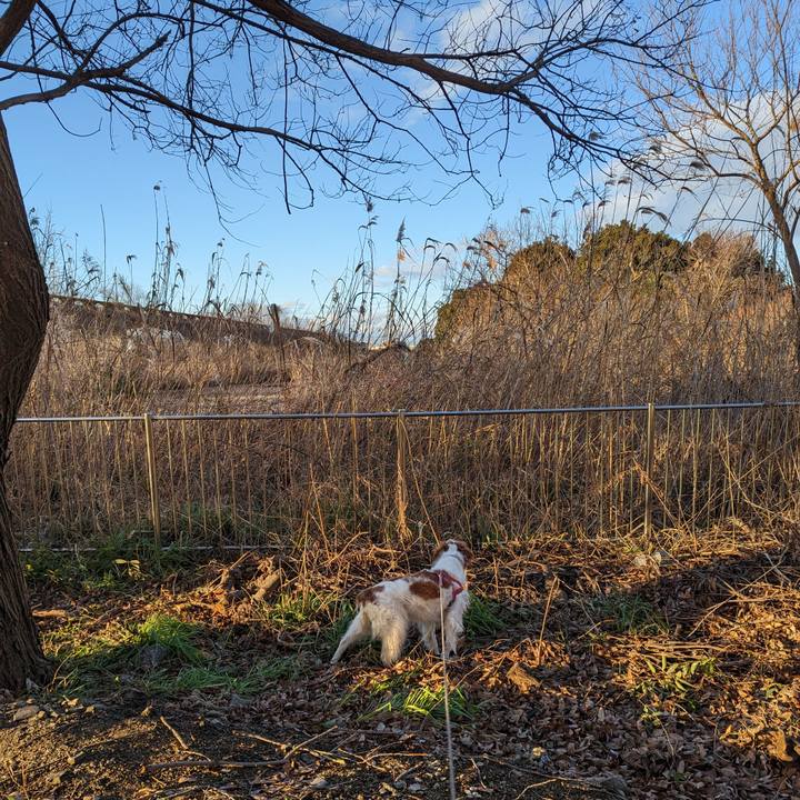 Ebb4a88f 65aa 4793 b40e fee4602e1957 1675077755028