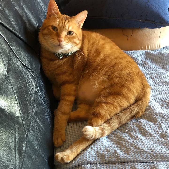 Ebb4aac3 fc8d 4d11 9b2a 35af12533ec0 1558907698505