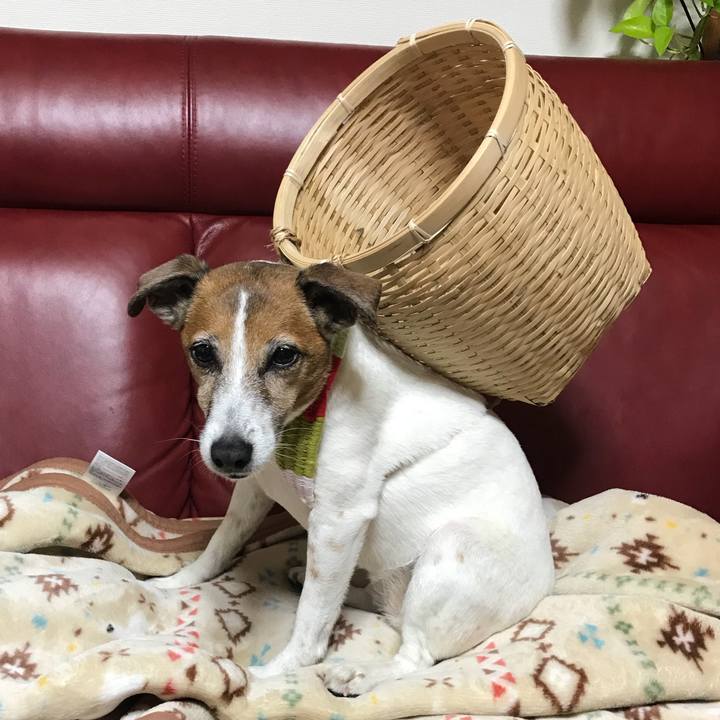 Ebb4b7eb cf8e 45b7 ad79 1dbb74a3778e 1526131272021