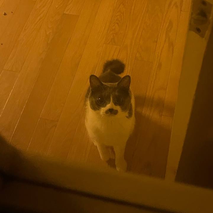 Ebb4c98e 57f7 4f32 979d f10a63eeb210 1628596468519