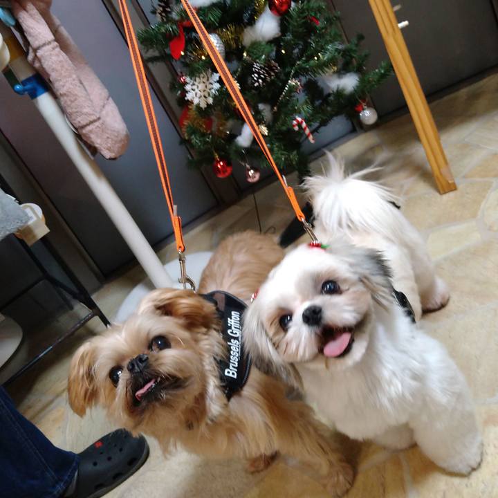 Ebb4edaf 9eb6 4cc4 8bba c7c2382a8f13 1607851097425