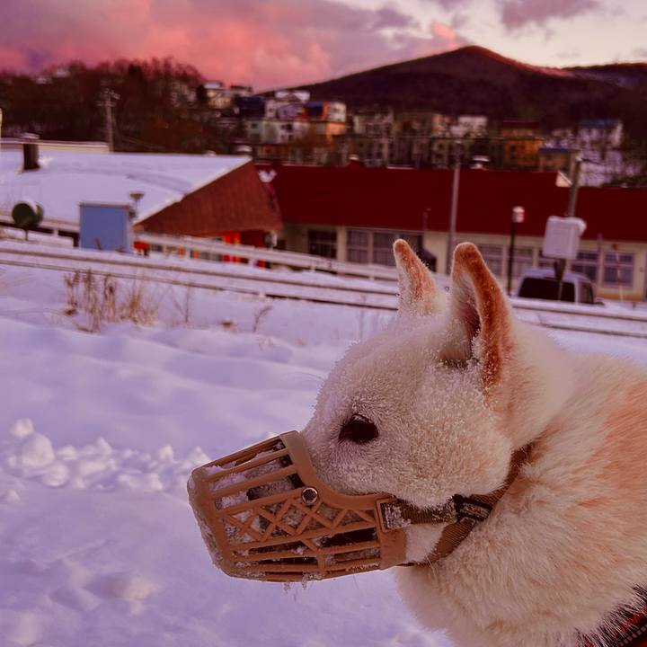 Ebb5186e 6116 423d 88ca b0351107a48a 1702945754719