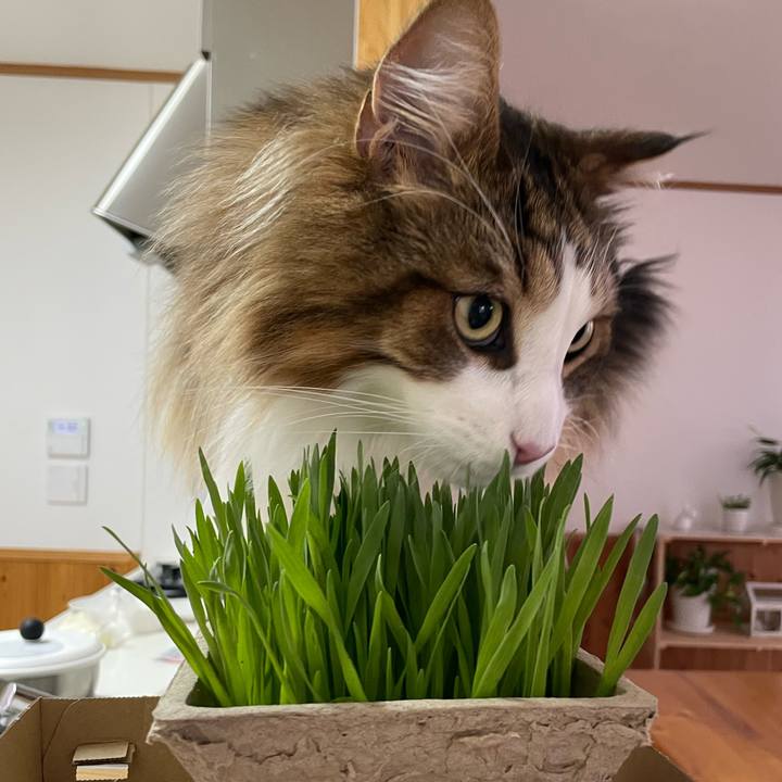 Ebb554d6 1d0b 4bff ae28 ddad7896cce4 1685738463230