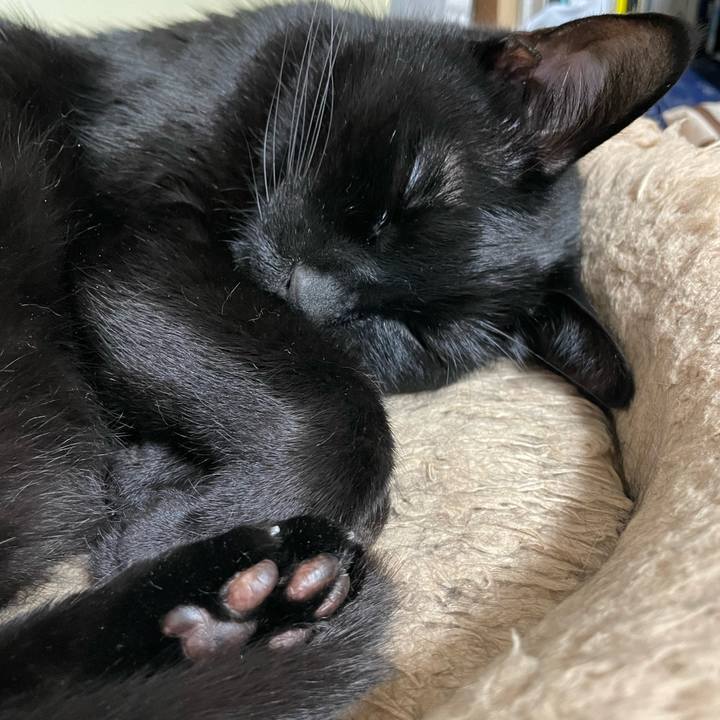 Ebb578f5 102e 4229 8f28 dac048647596 1648561734091