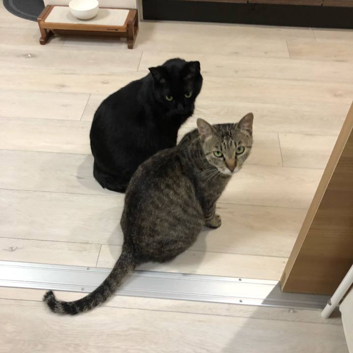 Ebb58422 5eaf 40f2 8fb1 eef03afecf1b 1525084084676