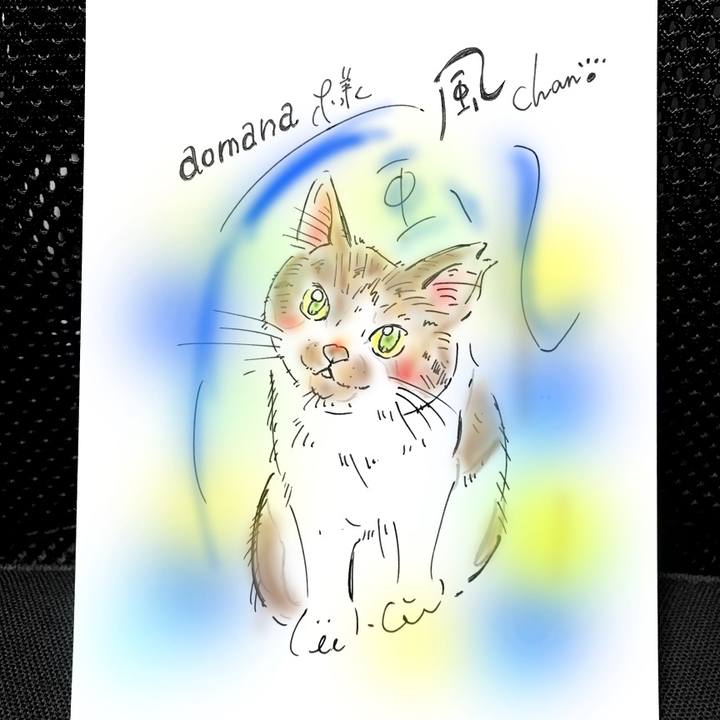 Ebb5a021 a30f 43c5 9bbe 1cc56b40a3e6 1567690707038