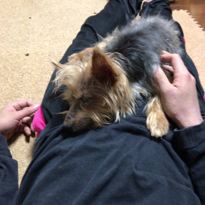 Ebb5b1f8 c73b 4532 8c7c 09985ba23391 1512736276925