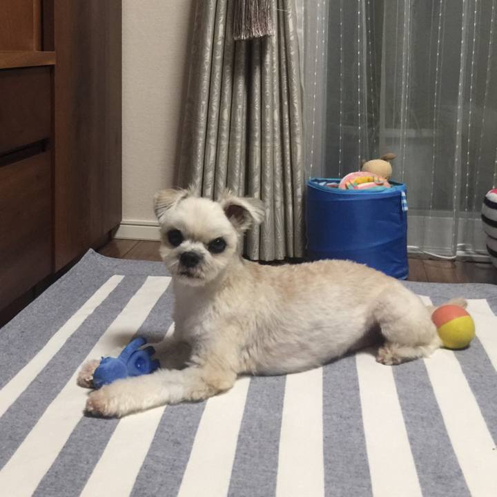 Ebb5fbf7 513e 4b38 afce ff47f1f5aa73 1538564665491