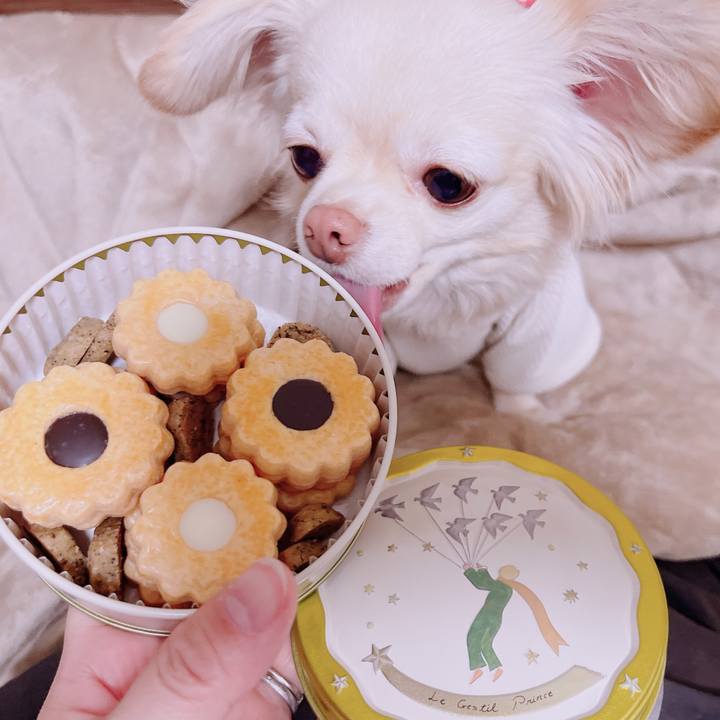 Ebb6038a b09d 4db0 8b18 1b3cab509f2f 1678323610352