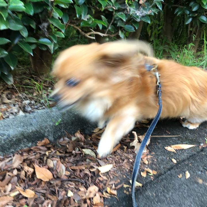 Ebb6203e 561d 430c 8227 ff0d301b1217 1568416339220