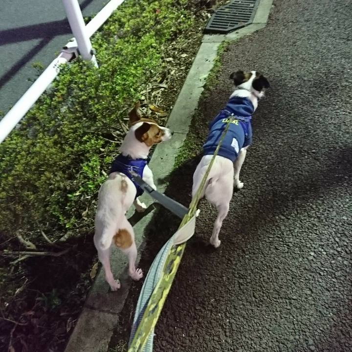 Ebb63964 fd35 4167 a97e 21aeaa0a4271 1525343487609