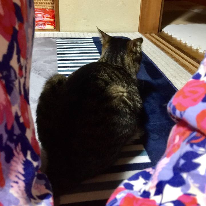 Ebb64b6a 4bab 4f9e a7e7 3e0bb07625ec 1528798728753