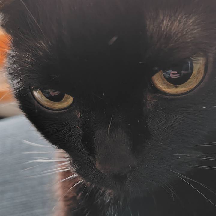 Ebb6f1d5 478d 4537 9710 fbd182d5576c 1758330250984