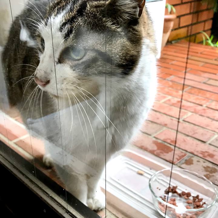 Ebb71a44 9159 42da a6f0 6e27406c65e2 1511490914315