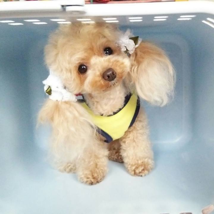 Ebb7557e 2978 4224 9dde 31b3ef58bc85 1549023410420