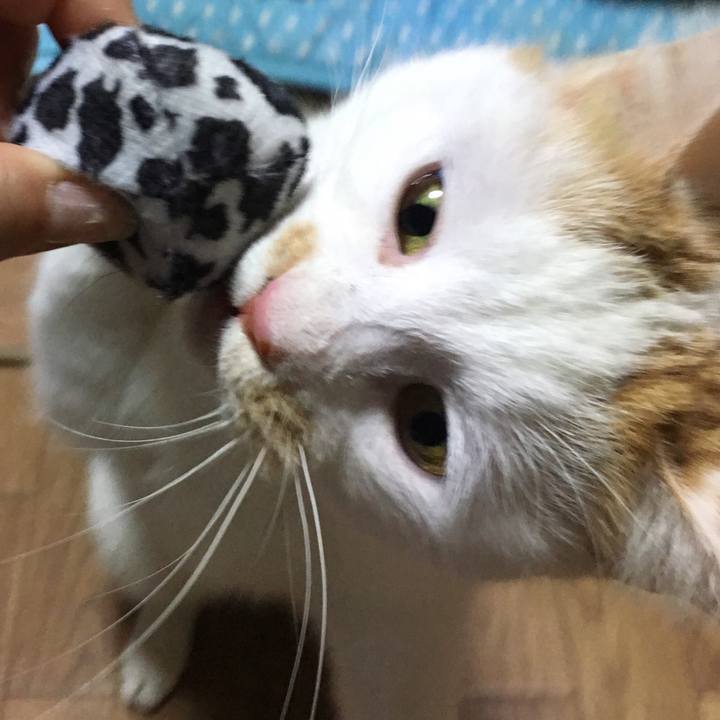 Ebb76191 5183 48da b935 2955d9e4df3b 1517148905895