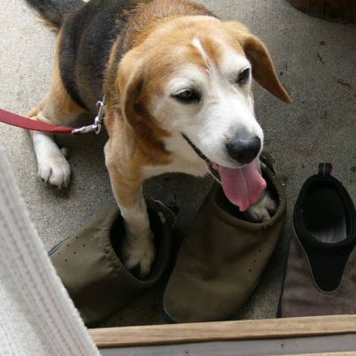 Ebb77196 ca16 4e7a bb11 f846752c3351 1642123827551