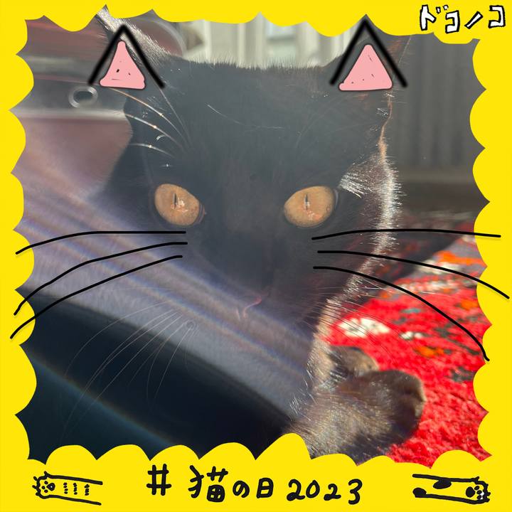 Ebb77ac4 a0d9 4a35 8e0a afabdc8a9e74 1677039593748