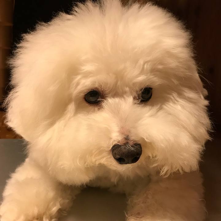 Ebb7b7bc 4e5c 434a 8fe9 5c9c70a2343b 1533908925365