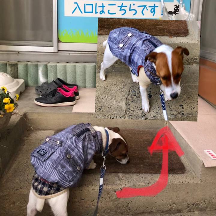 Ebb7cea4 5fe9 42ce 96b1 bc9ffe8b3c2b 1547604677196