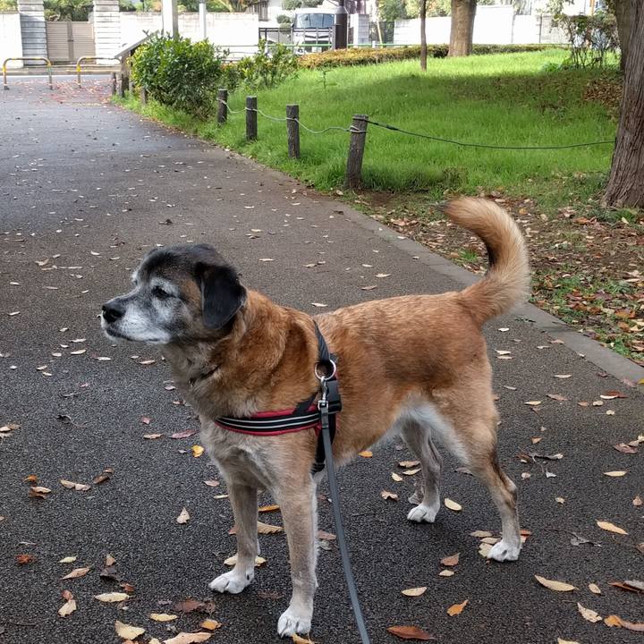 Ebb7e56b 38ac 4446 851c 1b2f4e859458 1543448571270