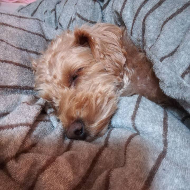 Ebb7f45d 8e21 4b83 90ec e658c6c0c92a 1572382451725