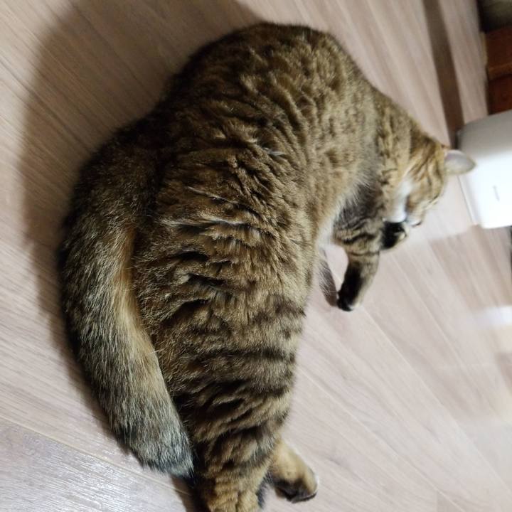 Ebb7f64e cf65 4097 a66c ec13c4ce2c25 1586779564756